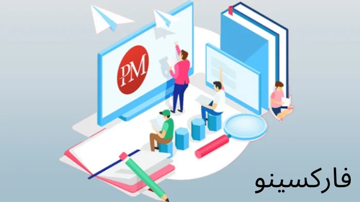 پرداخت b2b با پرفکت مانی 